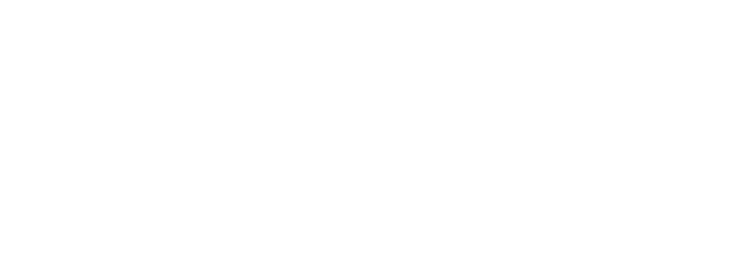 AEXIN Logo